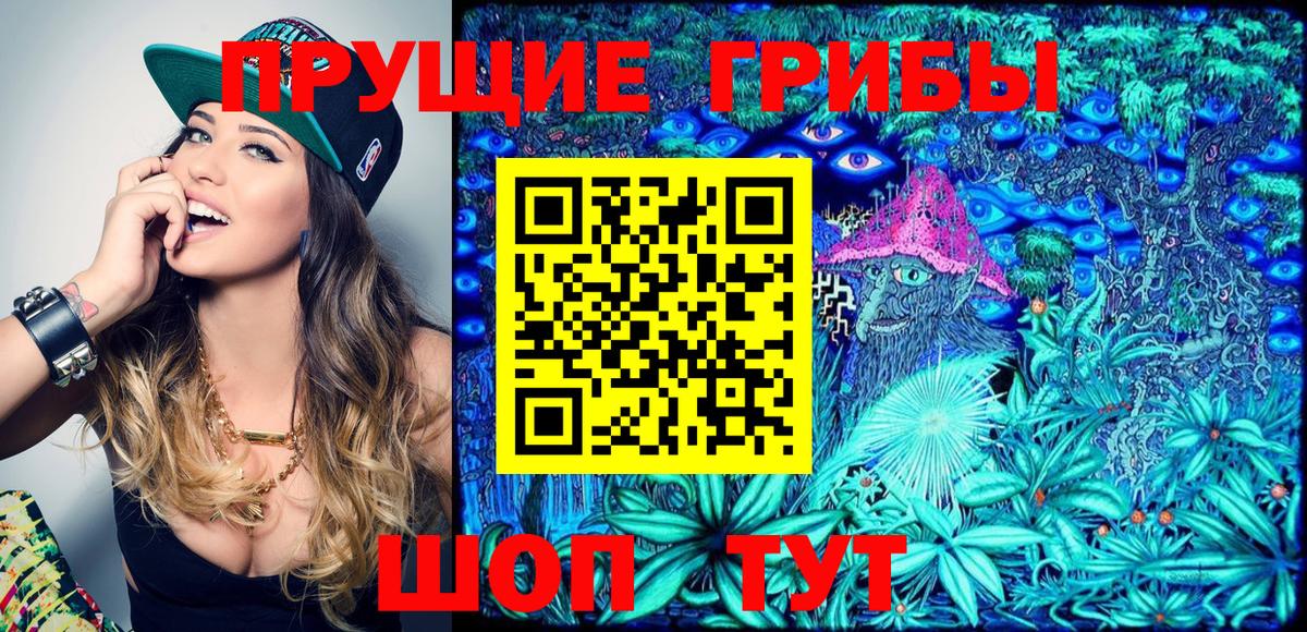 Галлюциногенные грибы Magic Shrooms  Гусиноозёрск 