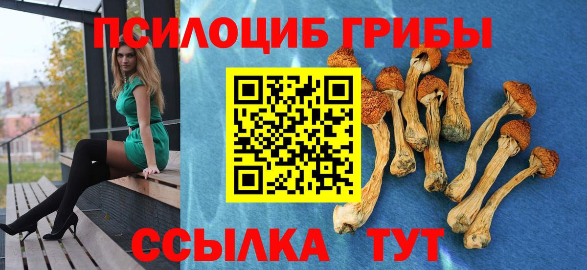 Гусиноозёрск  Меф МЯУ МЯУ кристаллы  MDMA  NBOMe  ГАШИШ  Канабис  Alpha-PVP СОЛЬ  