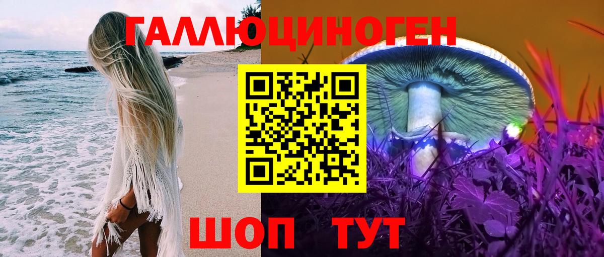 Гусиноозёрск  Галлюциногенные грибы MAGIC MUSHROOMS  Вход с VPN 