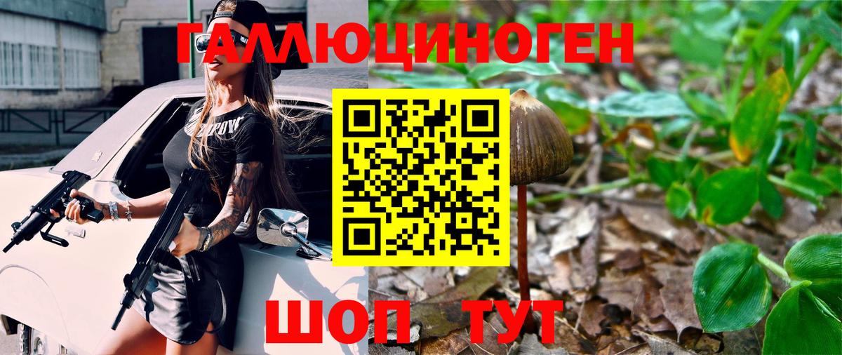 Галлюциногенные грибы мицелий Гусиноозёрск