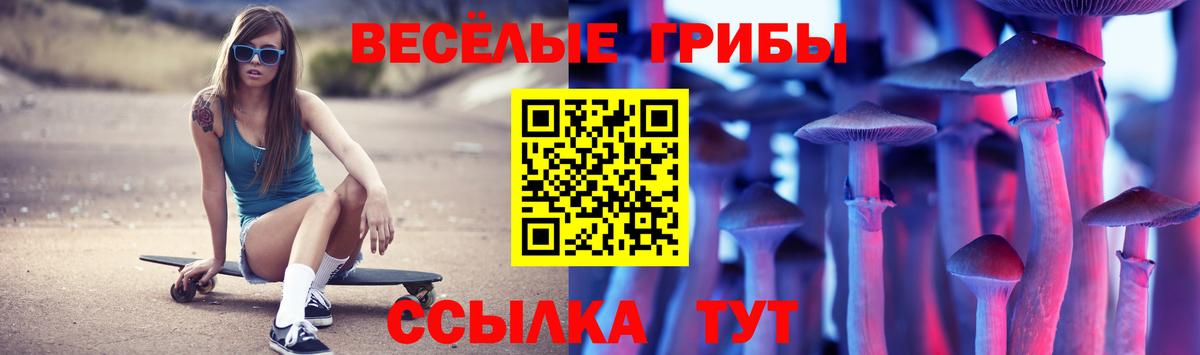 Псилоцибиновые грибы ЛСД Гусиноозёрск